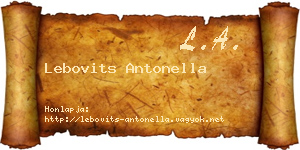 Lebovits Antonella névjegykártya